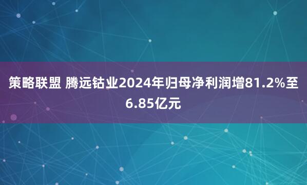 策略联盟 腾远钴业2024年归母净利润增81.2%至6.85亿元