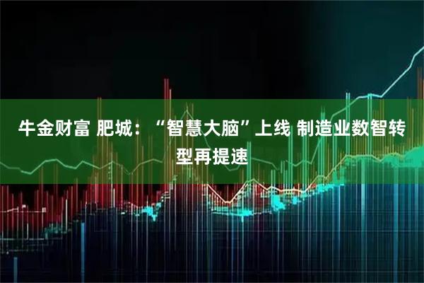 牛金财富 肥城:“智慧大脑”上线 制造业数智转型再提速