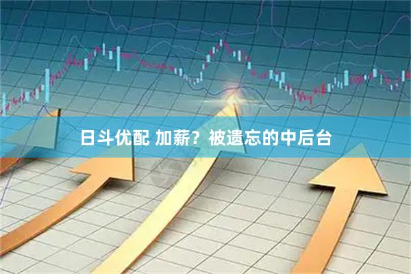 日斗优配 加薪？被遗忘的中后台