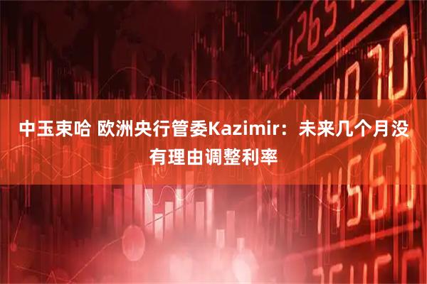 中玉束哈 欧洲央行管委Kazimir：未来几个月没有理由调整利率