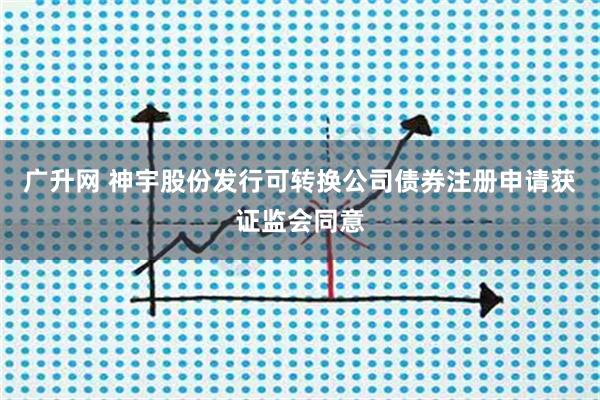 广升网 神宇股份发行可转换公司债券注册申请获证监会同意