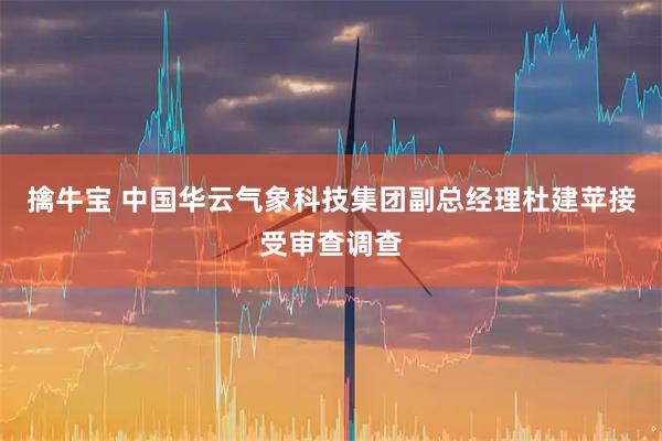 擒牛宝 中国华云气象科技集团副总经理杜建苹接受审查调查