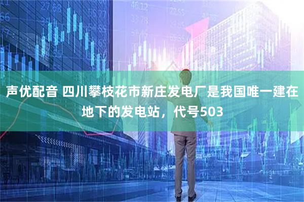 声优配音 四川攀枝花市新庄发电厂是我国唯一建在地下的发电站，代号503